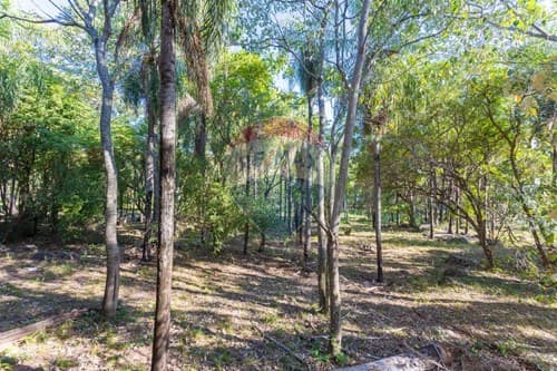 Terreno de 2has en emboscada minas — foto 2