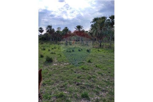 353 hectareas en villa oliva — foto 5