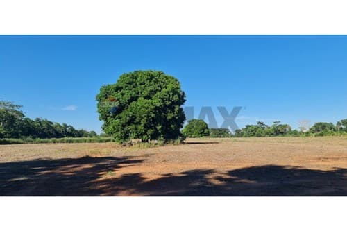 Terreno 14ha en Itacurubí: ¡Oportunidad Única! — foto 3