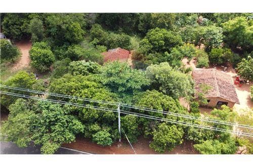 Terreno - Venta - Paraguay Cordillera NUEVA COLOMB — foto 5