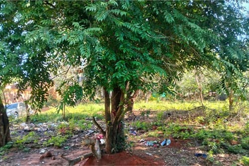 Terreno en Limpio, Zona Don Bosco, foto 4