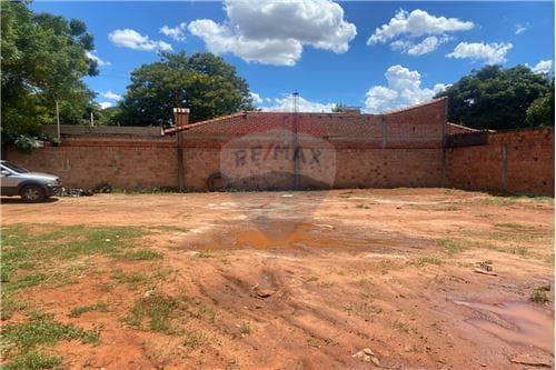 Dos terrenos juntos con tinglado en capiata — foto 4