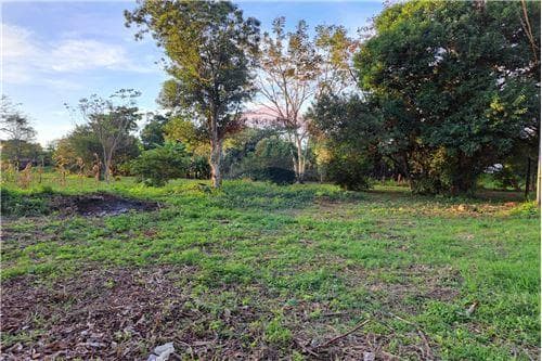 Amplio terreno en venta — foto 4