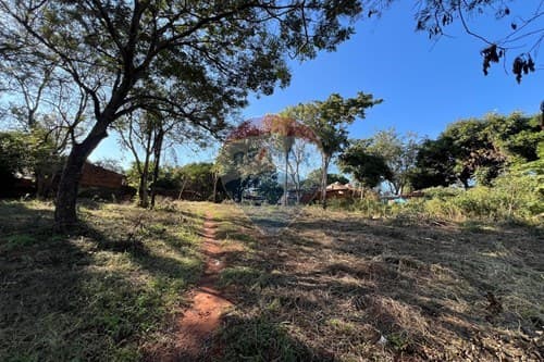 terreno 12x44 Ñemby-caguazu — foto 4