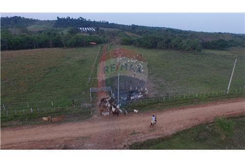 Campo en Arroyos y Esteros sobre el rio Piribebuy — foto 2