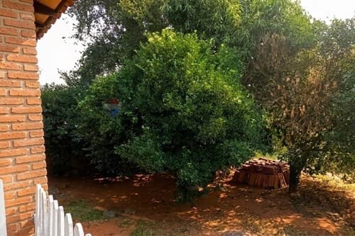 Casa en venta-Villa Elisa, foto 2