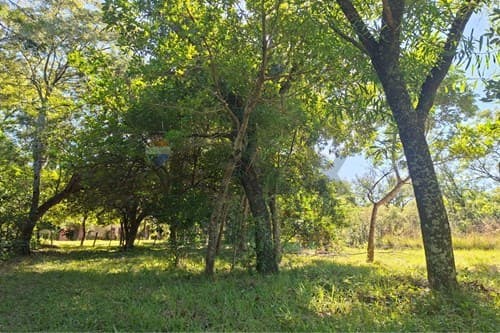 Terreno en San Bernardino: ¡Tu Inversión Ideal! — foto 5