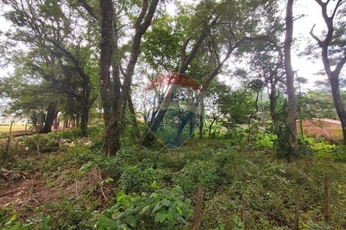 ¡Oportunidad única en Mariano Roque Alonso! — foto 3