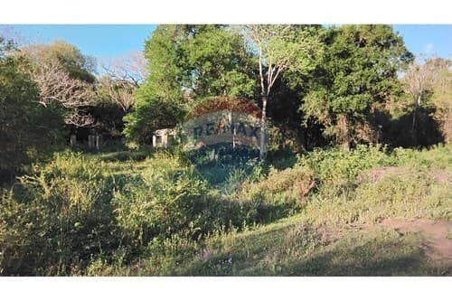 Terreno para Residencia Lujosa en Zárate Isla 🏞️