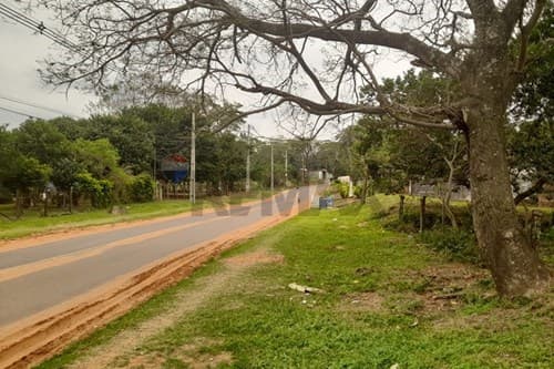 Vendo terreno en esquina sobre asfalto en capiata