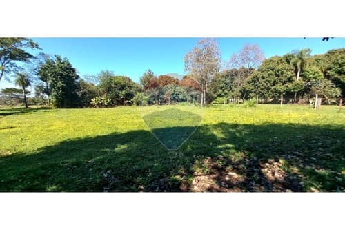 ¡En venta 1 Hectárea! — foto 4