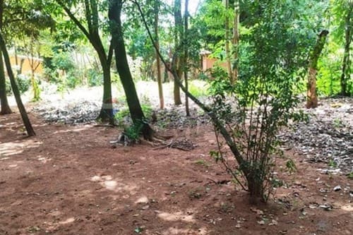 Gran oportunidad en Areguá — foto 5