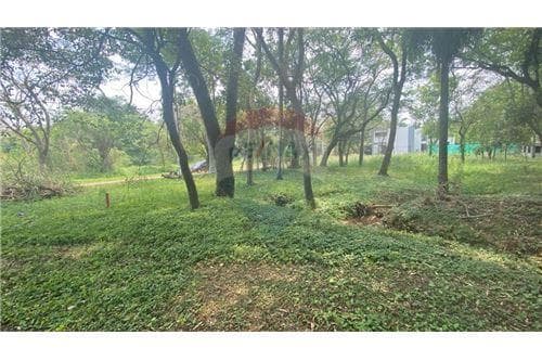 Espectacular terreno en bº hollywood-surubii — foto 3