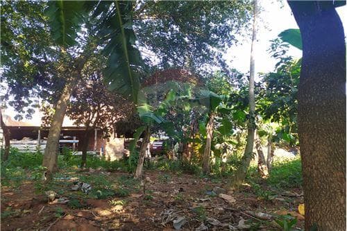 Hermoso Terreno en Julian Augusto Saldivar — foto 2