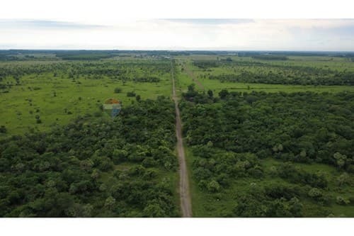 29 ha a 10 min del Centro de Villa Hayes — foto 4