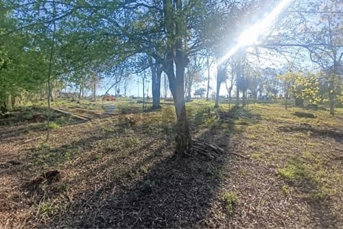 En venta 9.446 m2 en hernandarias alto parana — foto 5