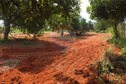 Terreno en Costa Fleitas Aregua — foto 2