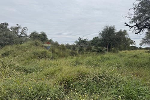 Terreno comercial en venta — foto 4