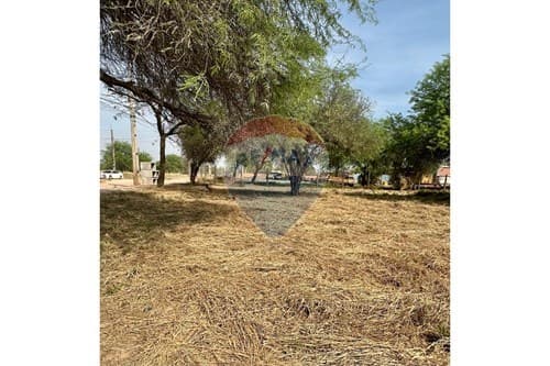 ¡Terreno comercial de 2480 m² en Filadelfia! — foto 2