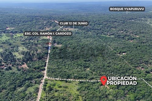 Terreno en ciervo kua — foto 3