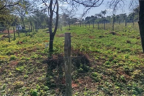 Terreno 778m2 en areguá, foto 5