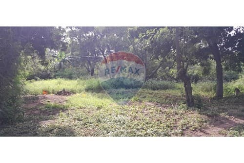 Campo en atención inversionistas, aregua — foto 2