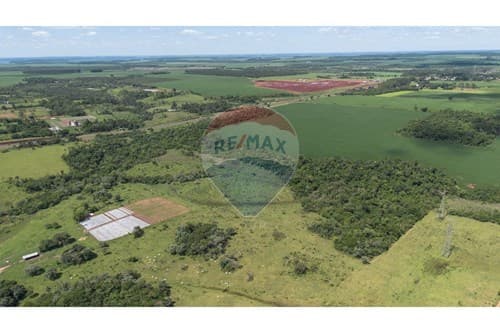 10 Hectareas sobre Ruta py 02 - km 52 YGUAZU, foto 5