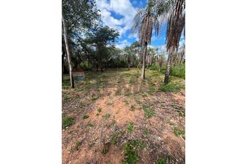 Terreno - venta - altos - cordillera paraguay, foto 5
