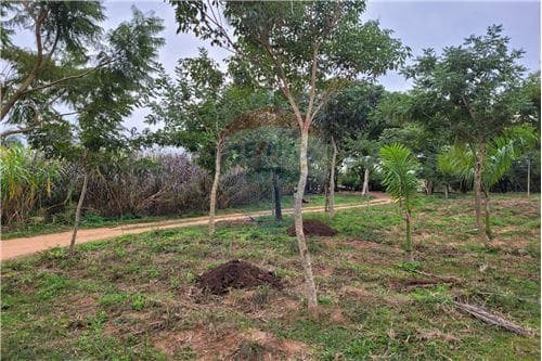 Granja en atyra(10hás) gs.740.000.000 — foto 4