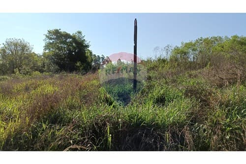 "Invierte en un Terreno Ideal en Obligado", foto 5