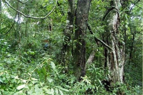 🌿 74 Hectares of Opportunity to Invest, Produce, and Grow, foto 5