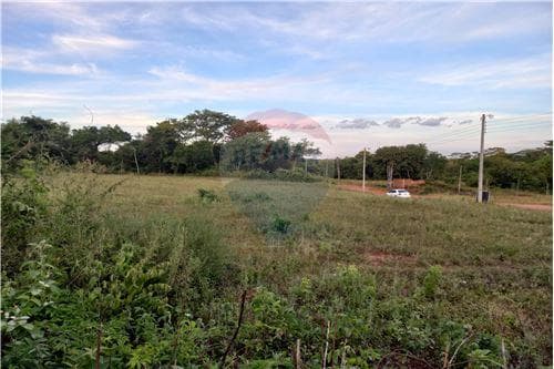 📍 ¡Terreno en Ypané a Precio de Oportunidad! 🏡 — foto 5