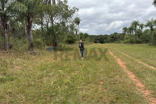 Oferta de terreno en Caacupé, ¡Descubrí! — foto 3