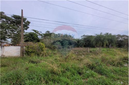 El terreno qie estabas buscando