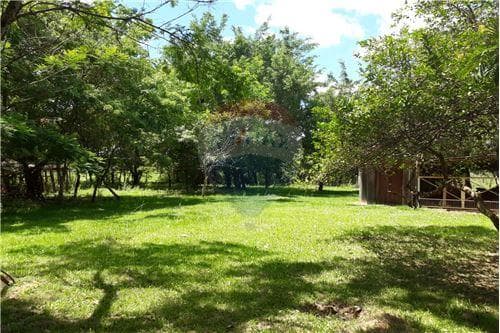 Propiedad sobre ruta arroyos y esteros — foto 4