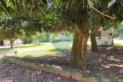 Terreno en venta de 728 mt2 en Itauguá — foto 5