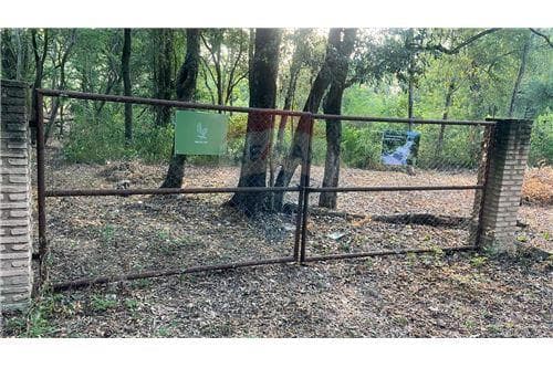 Vendo terreno de una hectarea en San Bernardino