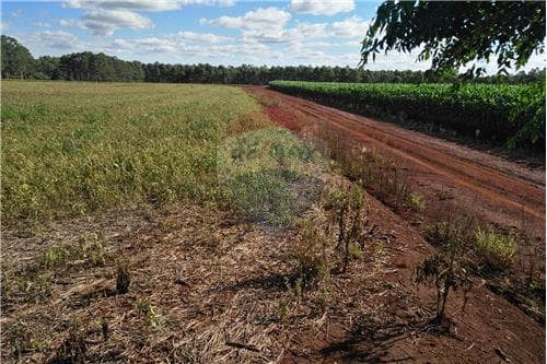 Terreno en PRODUCTIVO TERRENO, Obligado — foto 5