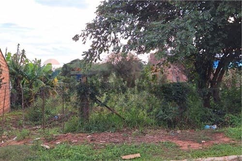 ¡Estrená tu casa propia con Che Róga Porã! ✨