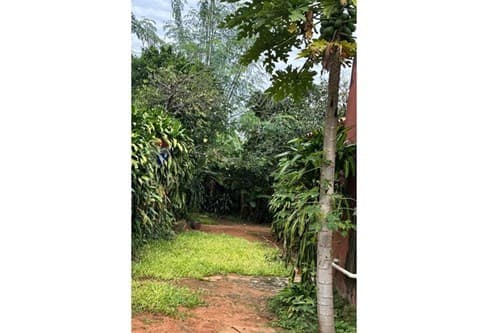 Terreno con losa para ampliaciõn — foto 4