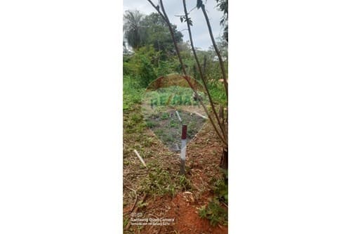 Terreno en la ciudad de Luque cañada garay — foto 3