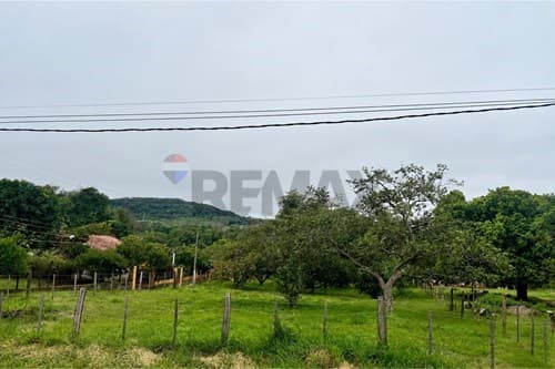 terreno sobre ruta en Piribebuy — foto 5