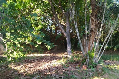 Terreno a metros de la ruta aregua -ypacarai, foto 3