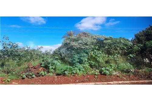 Terreno en barrio caacupemi - hernandarias — foto 1