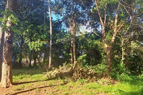 Terreno Ideal en Itauguá: ¡Construya su Futuro!