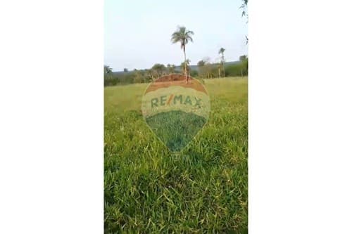 Inversión en Campo de 20 has. en Ybycu´í — foto 4