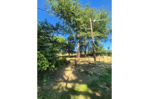 4 terrenos en Caacupé de calle a calle — foto 3