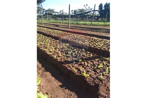 3 terrenos juntos 4.750 mts 2. J.A. Saldivar — foto 4