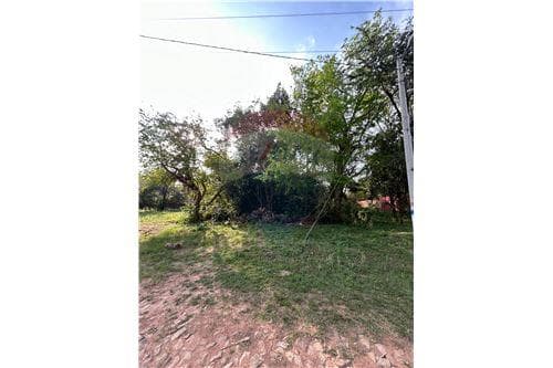 Amplio terreno en San Bernardino — foto 4