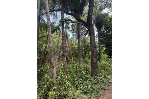 Oprtunidad de inversion terreno MRA — foto 5